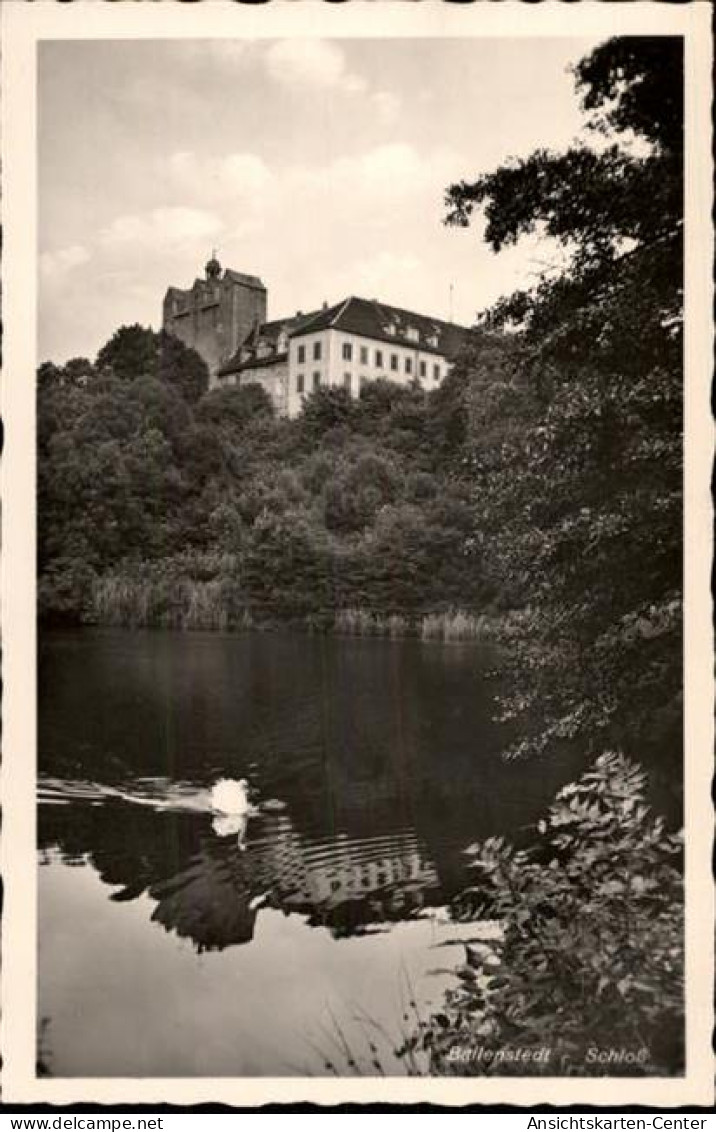 50483186 - Ballenstedt