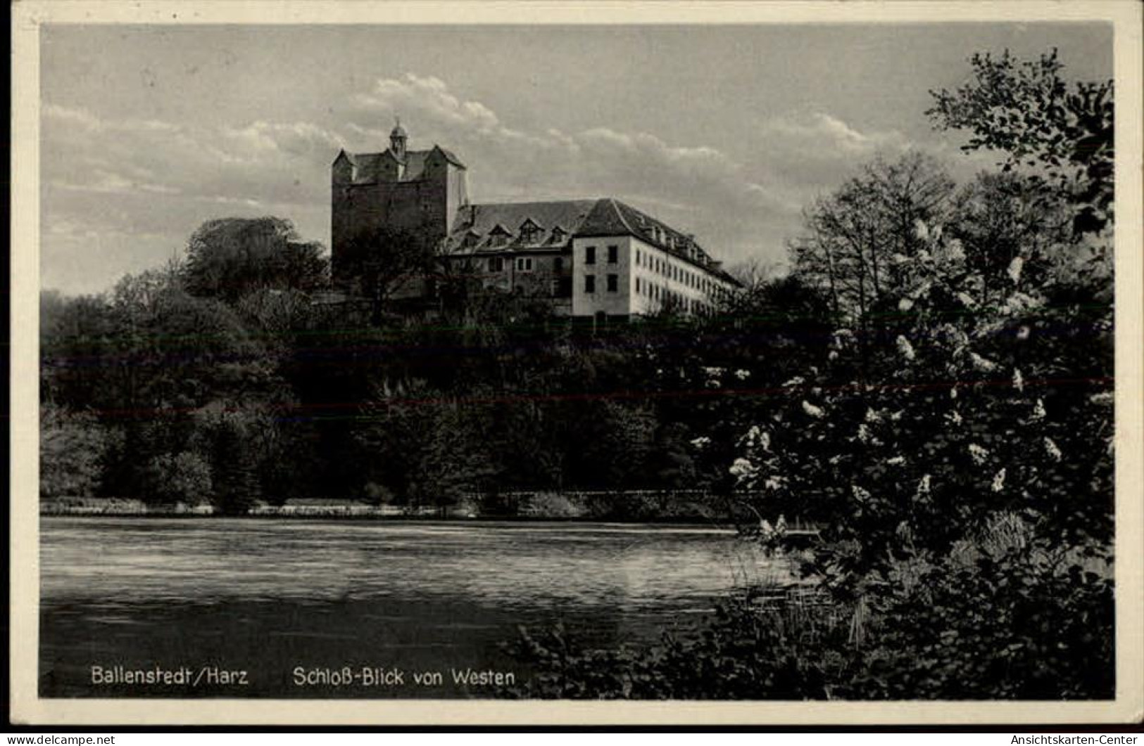 50483188 - Ballenstedt