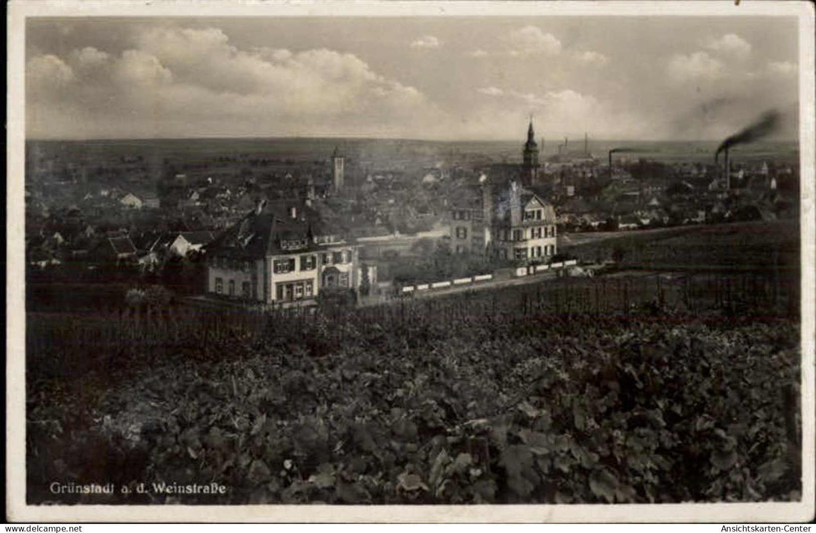 50483324 - Gruenstadt