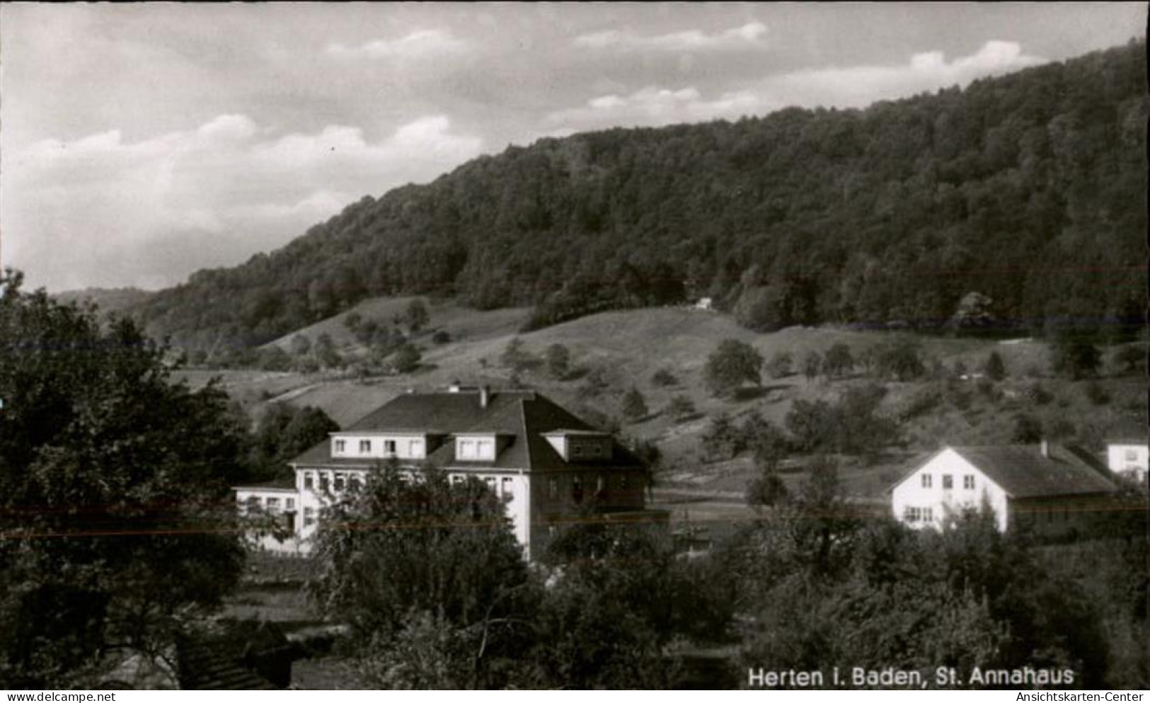 50483627 - Herten , Baden