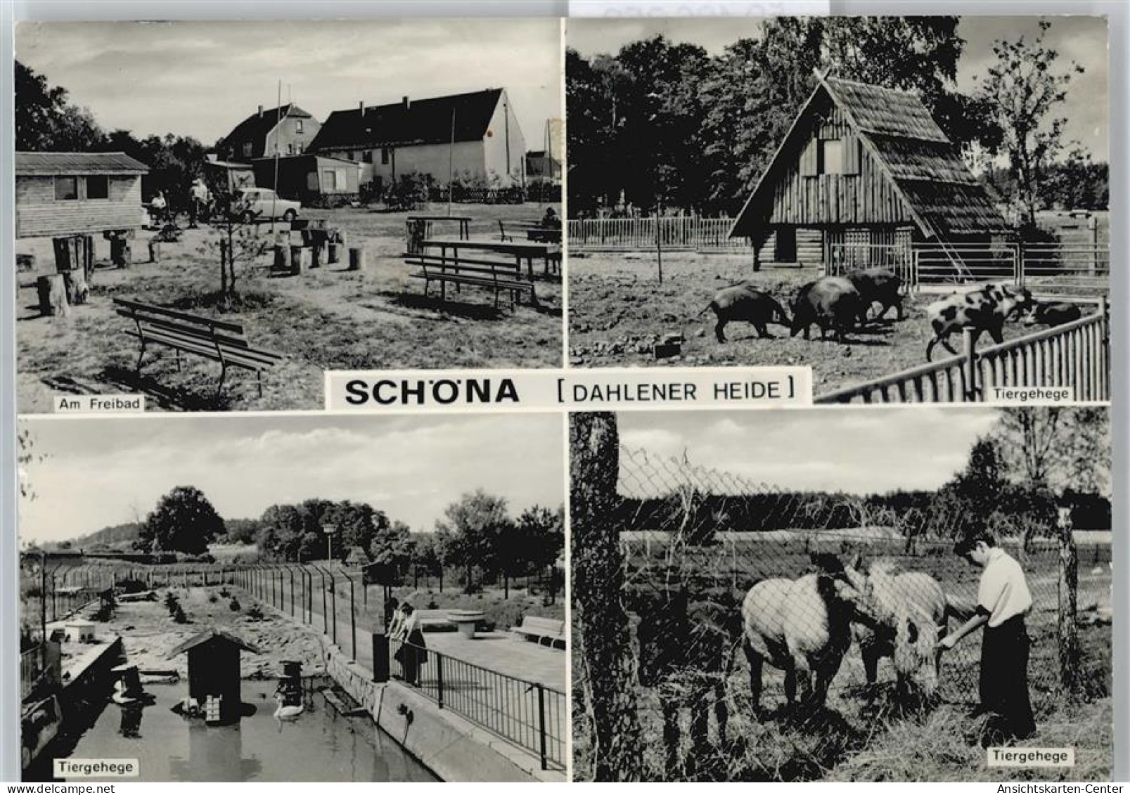50486359 - Schoena b Oschatz