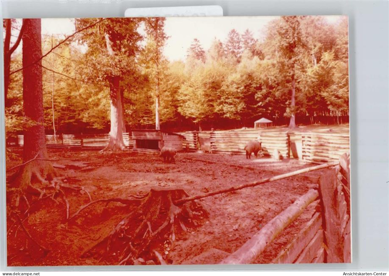 50487069 - Schluechtern