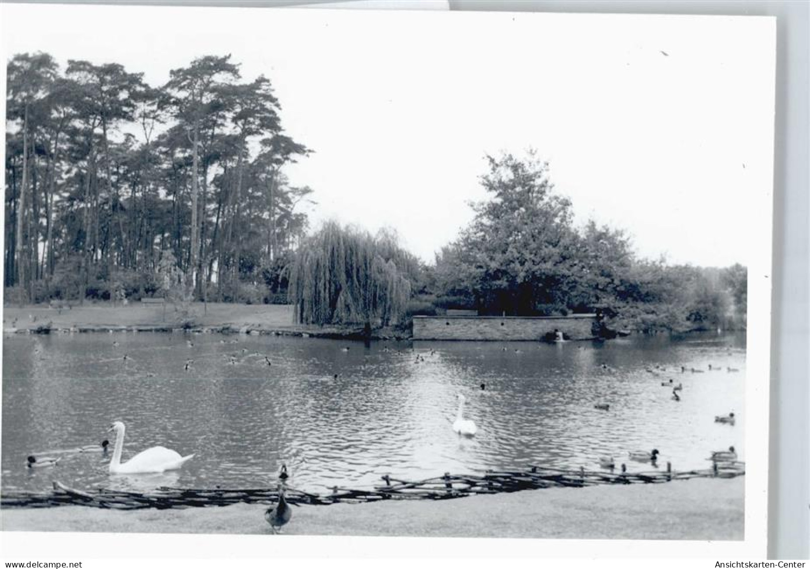 50489228 - Ruesselsheim