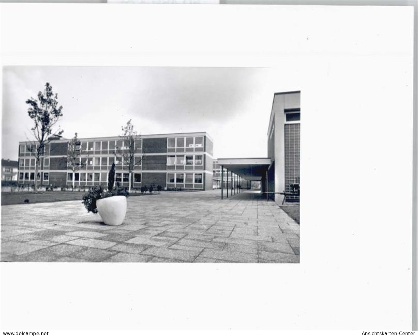 50489329 - Ruesselsheim