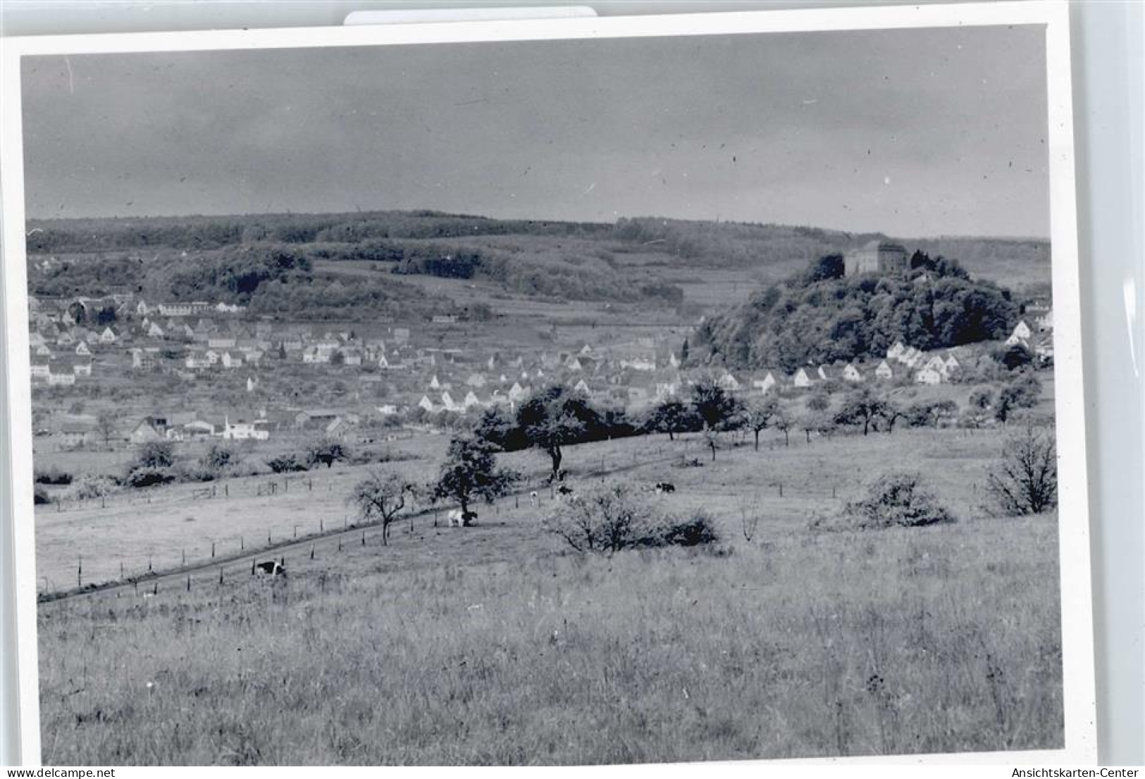 50491133 - Westerburg , Westerw