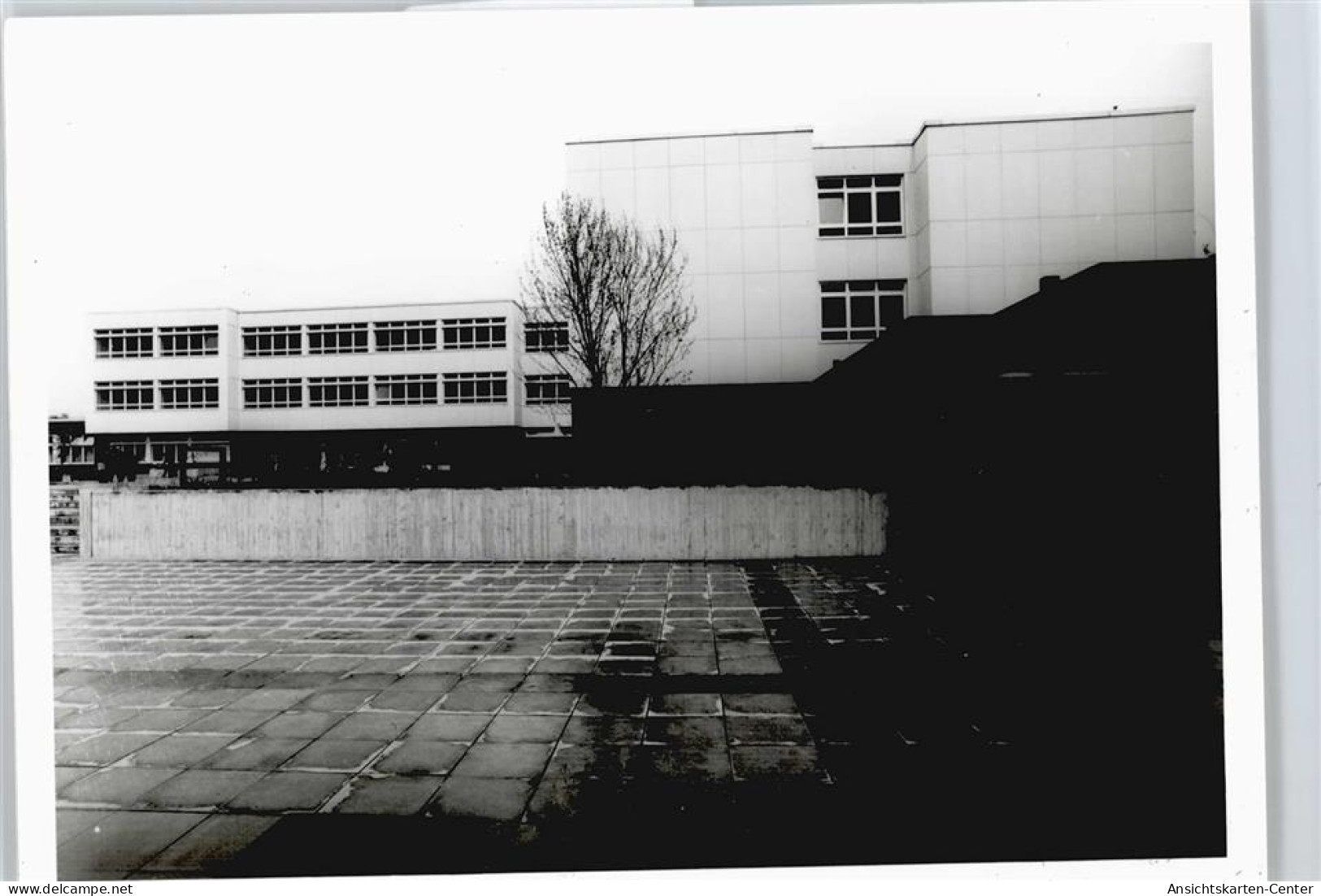 50491378 - Bendorf , Rhein