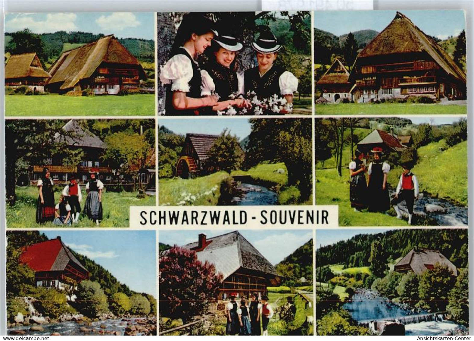 50491978 - Glottertal