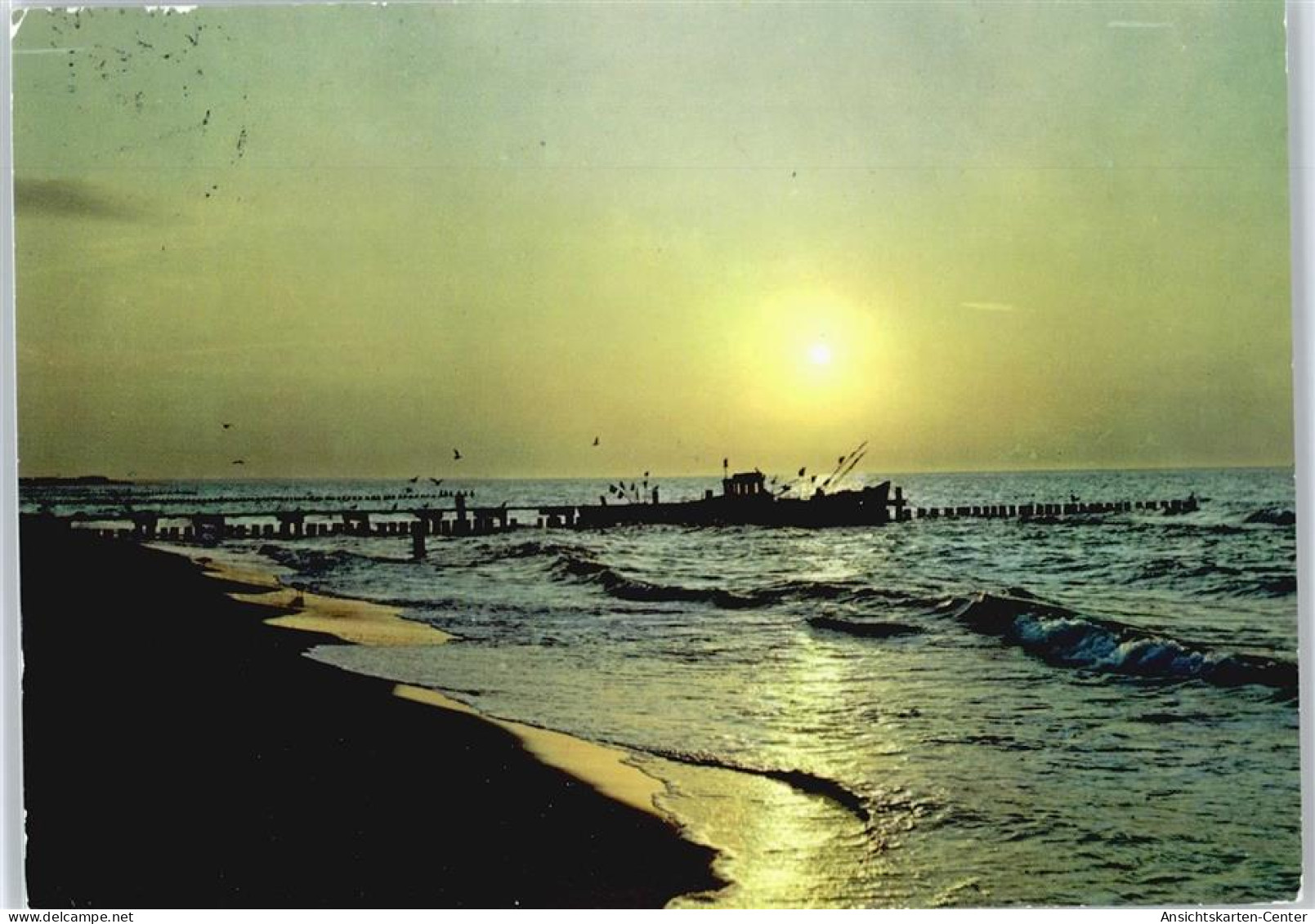 50492654 - Zinnowitz , Ostseebad