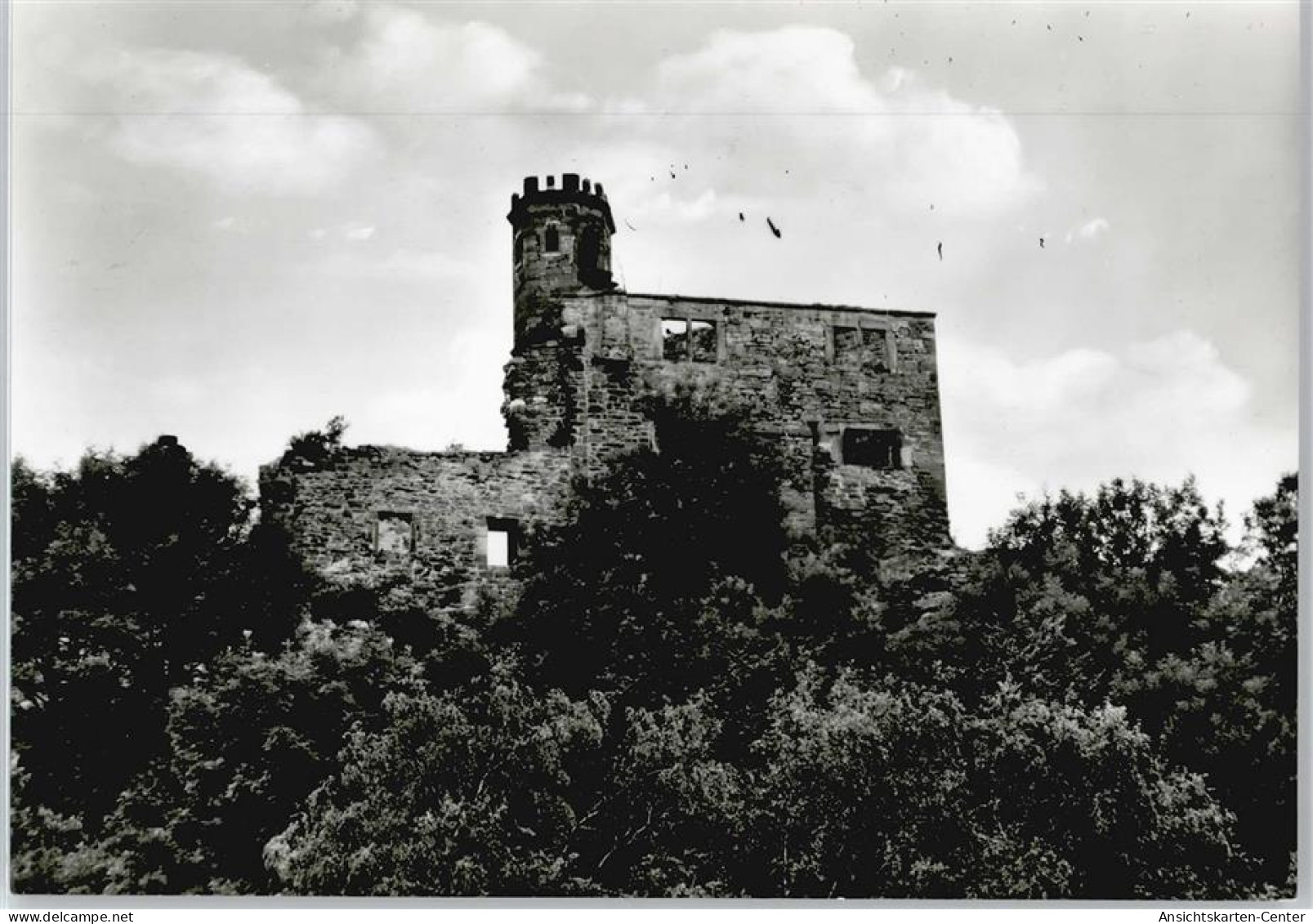 50502164 - Noerten-Hardenberg