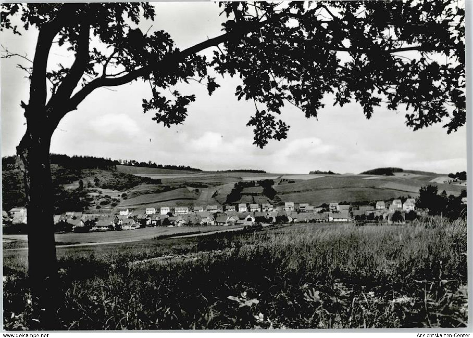 50502185 - Bishausen