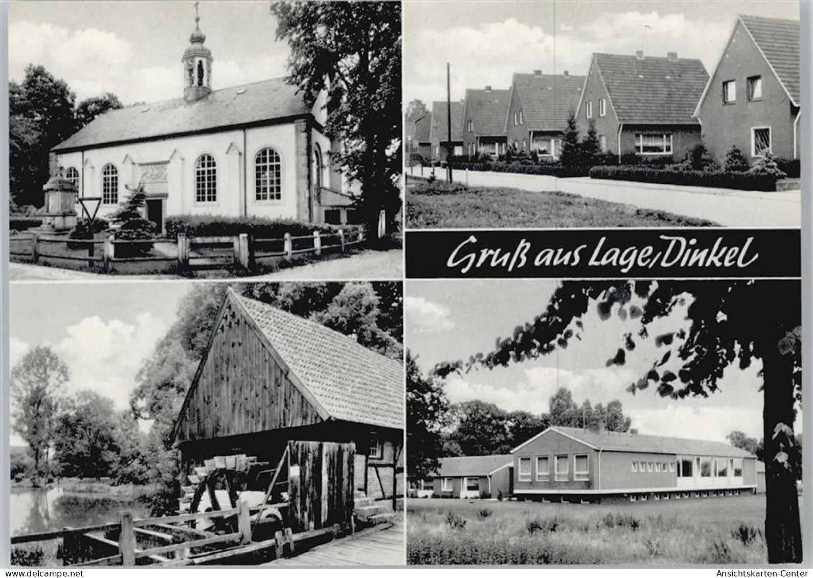 50504281 - Lage , Dinkel