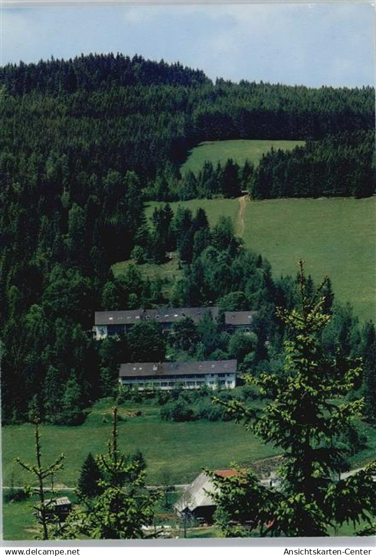 50506392 - Titisee-Neustadt