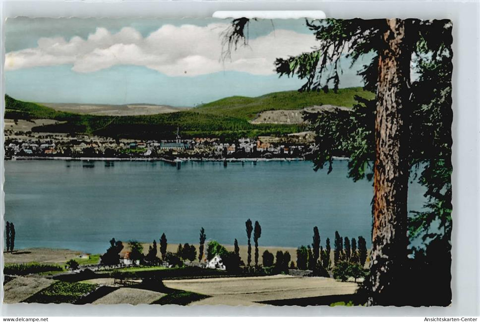 50506540 - Radolfzell am Bodensee