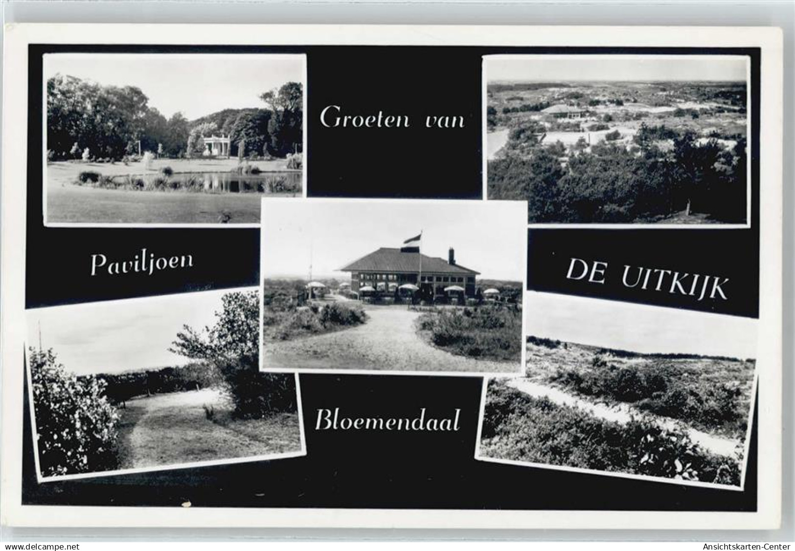 50509105 - Bloemendaal