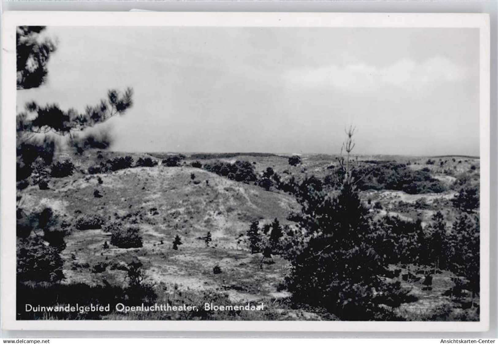 50510025 - Bloemendaal