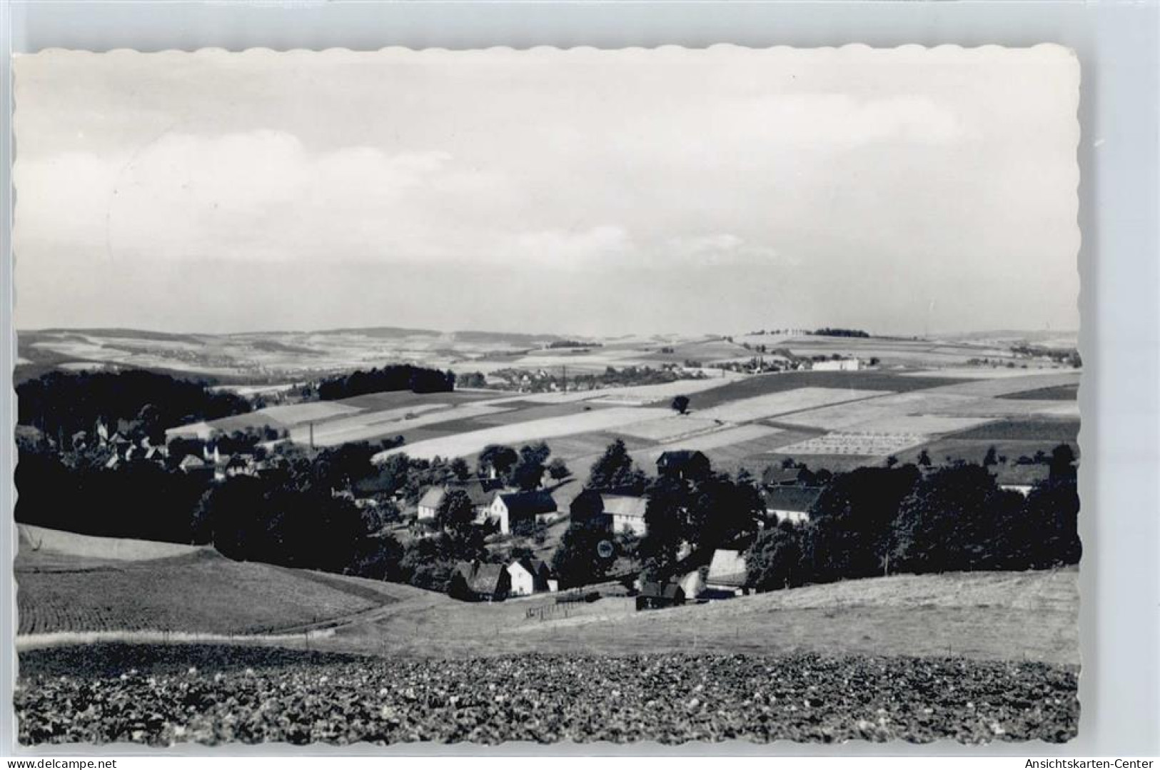 50510636 - Thierfeld