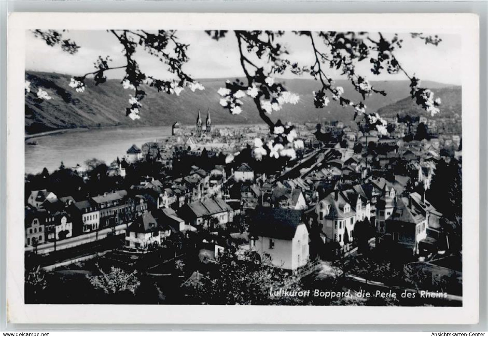 50511871 - Boppard , Rhein