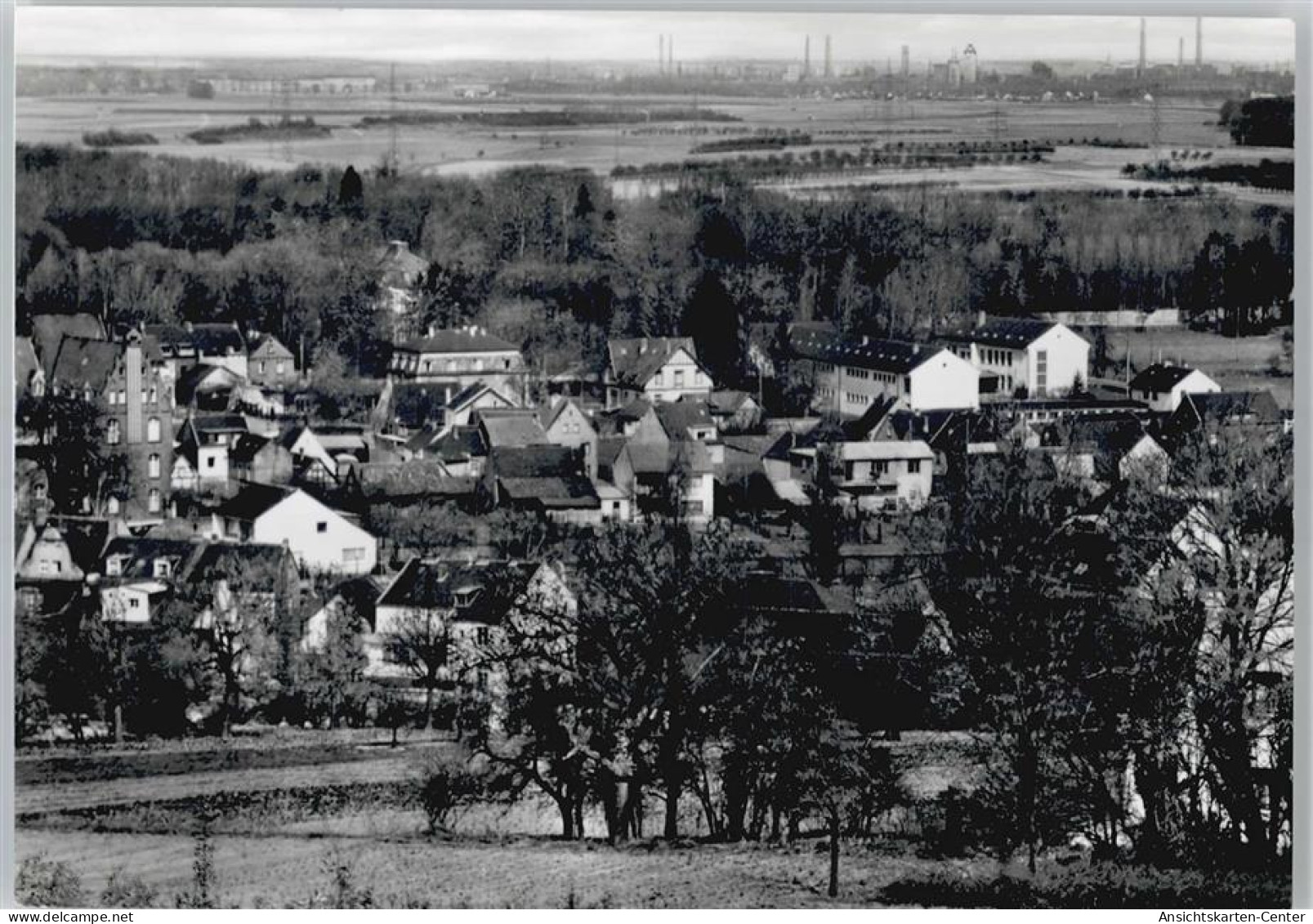 50511966 - Bornheim , Rheinl