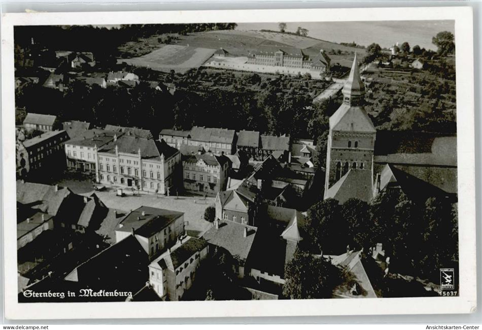 50513871 - Sternberg , Meckl