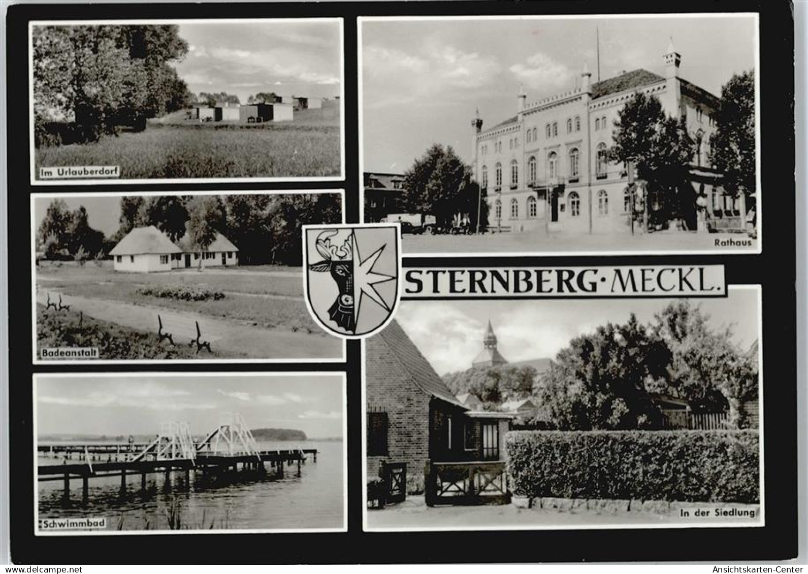 50514274 - Sternberg , Meckl