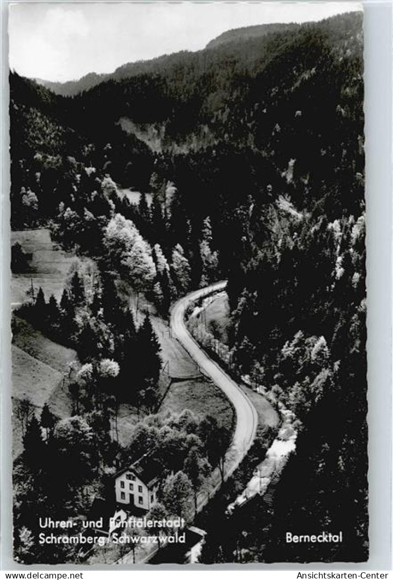 50514455 - Schramberg