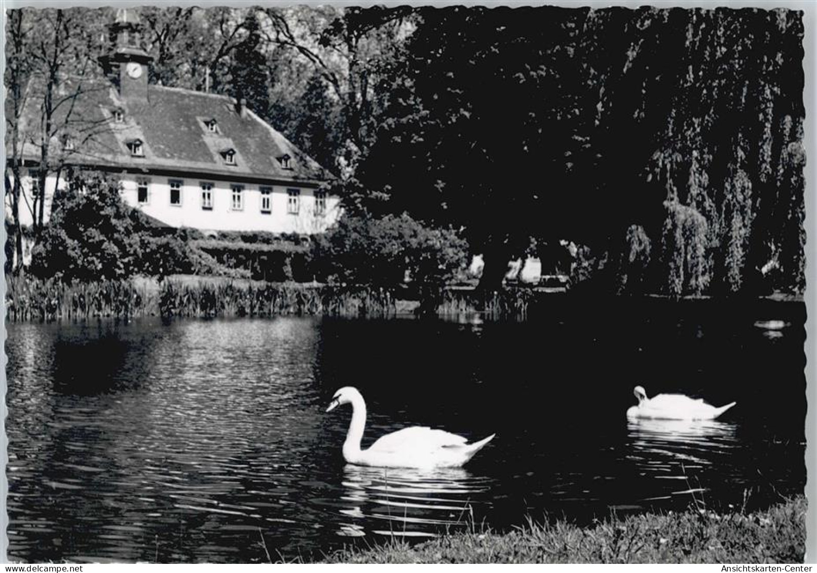 50515319 - Lich , Hess