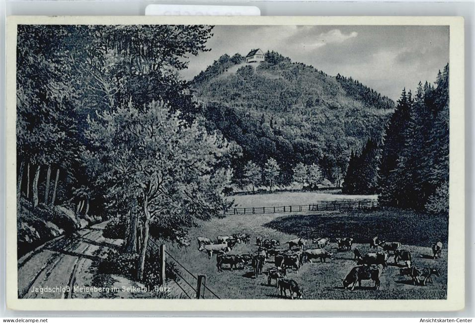 50516658 - Harzgerode