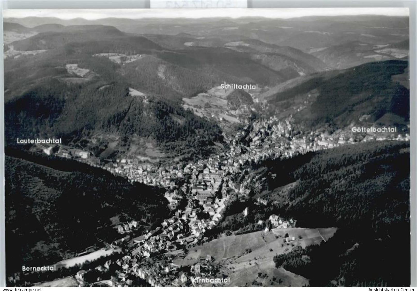 50517543 - Schramberg