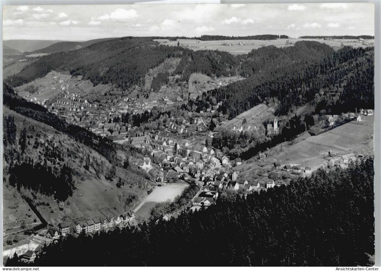 50517544 - Schramberg