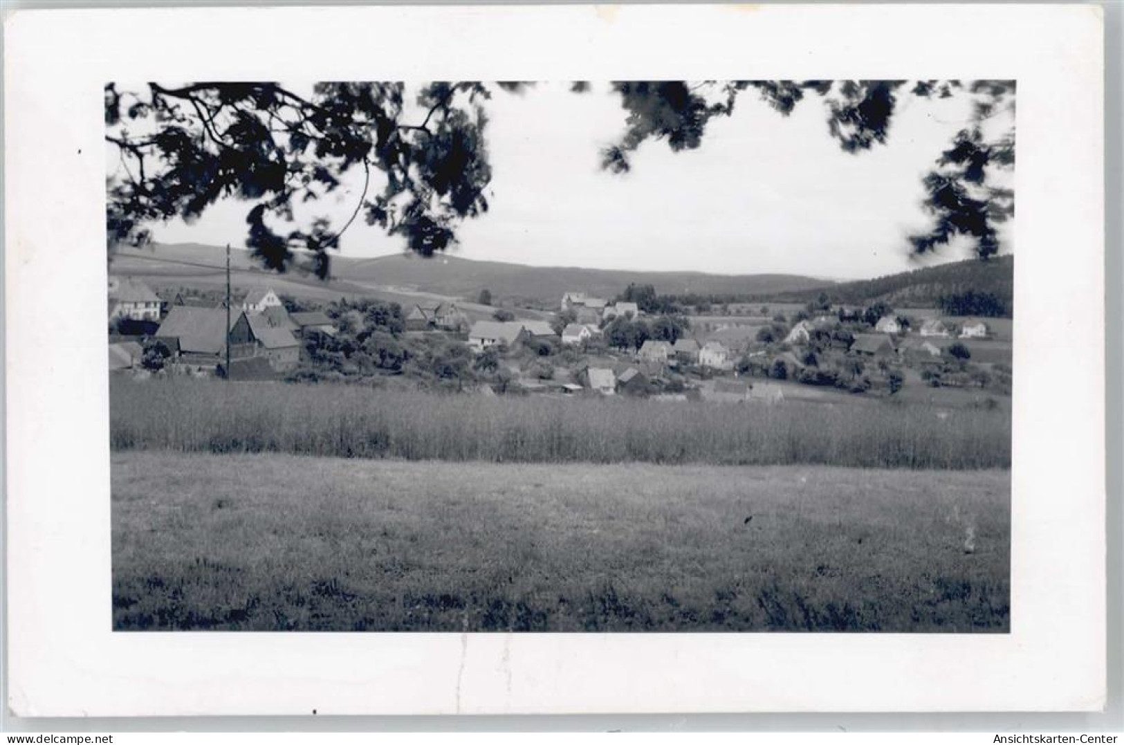 50521116 - Weinheim , Bergstr