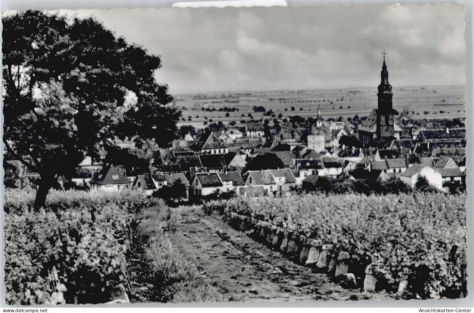 50521549 - Gruenstadt