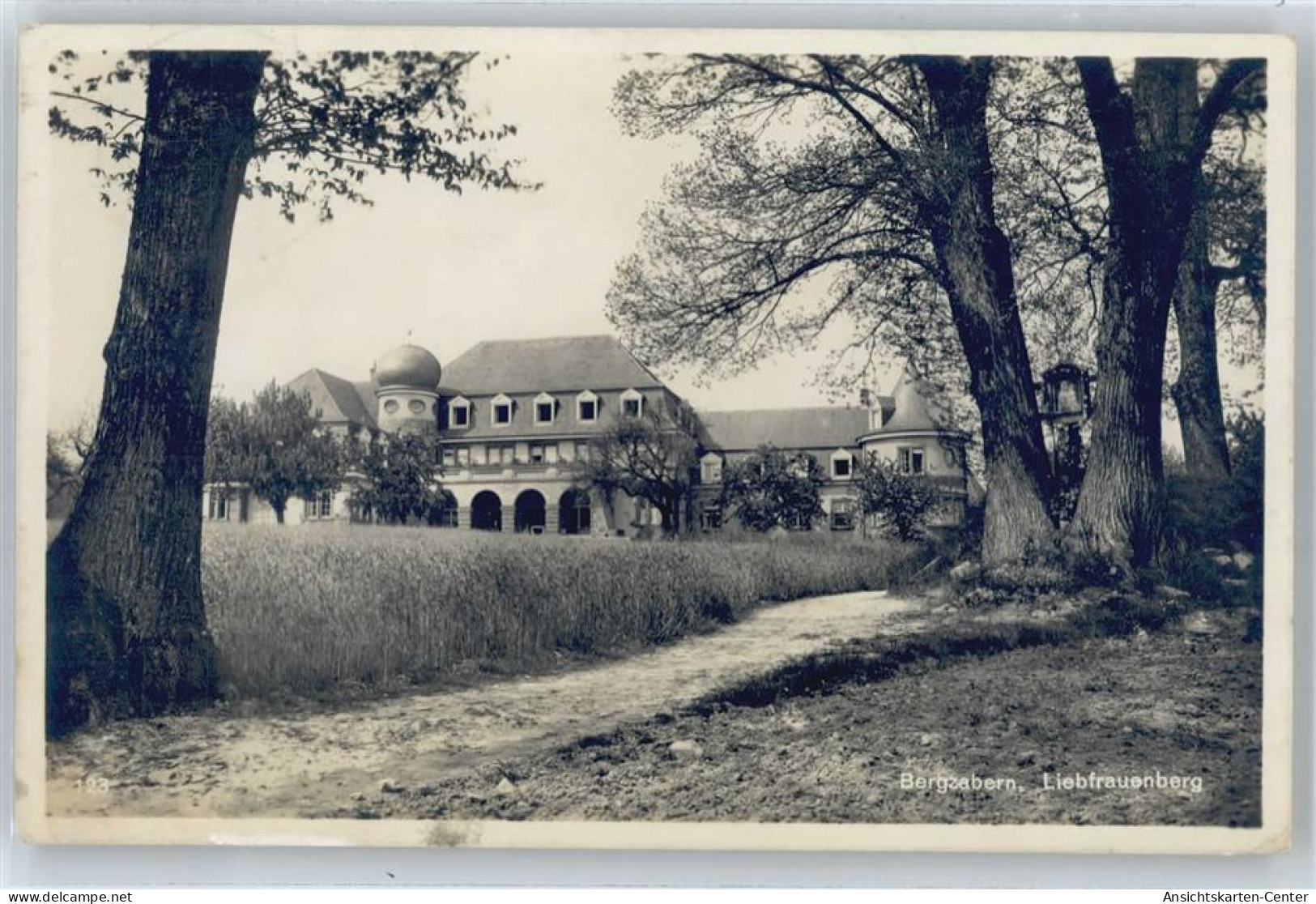 50521854 - Bad Bergzabern