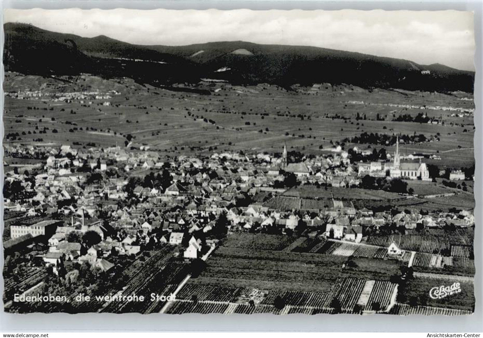 50521865 - Edenkoben