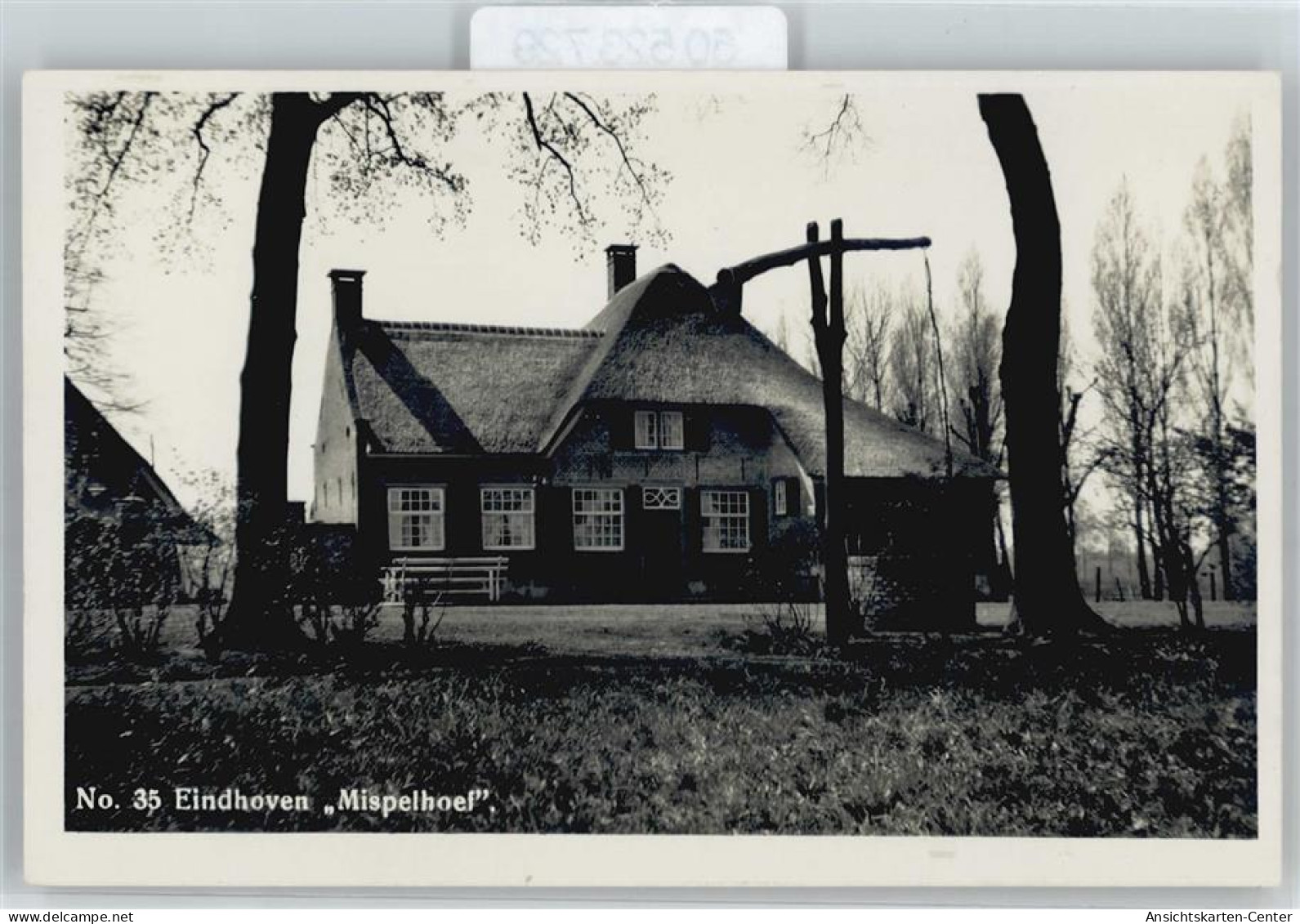 50523729 - Eindhoven