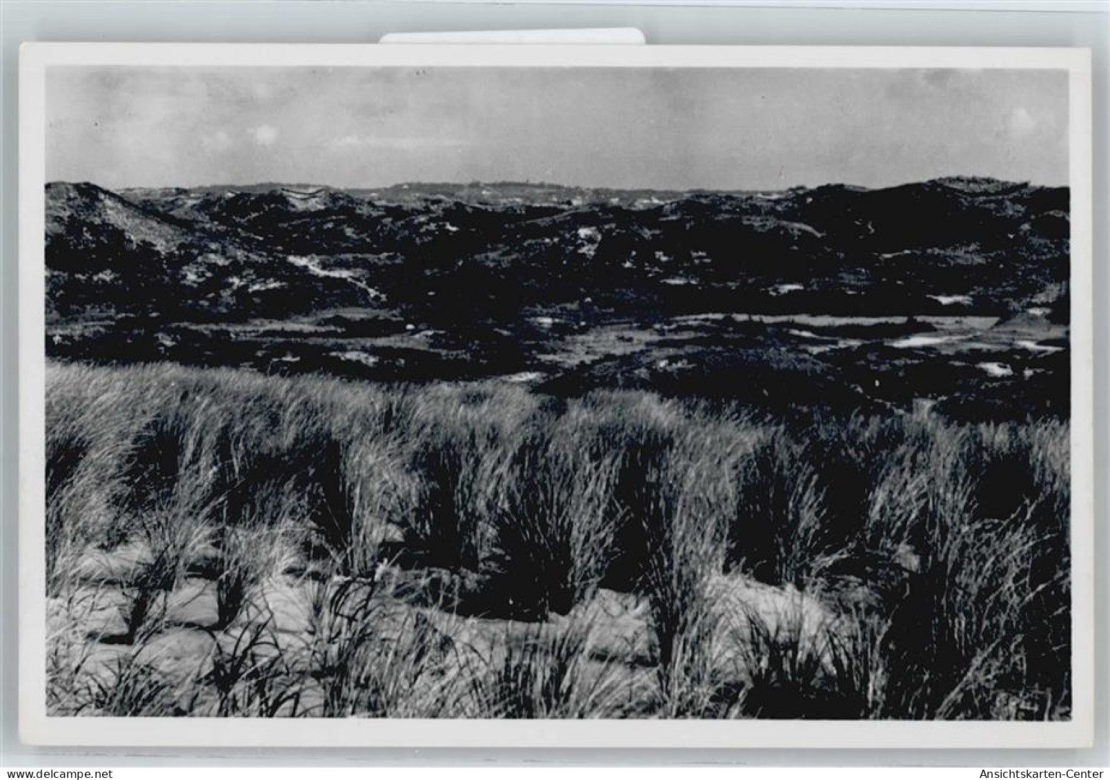 50523927 - Bloemendaal