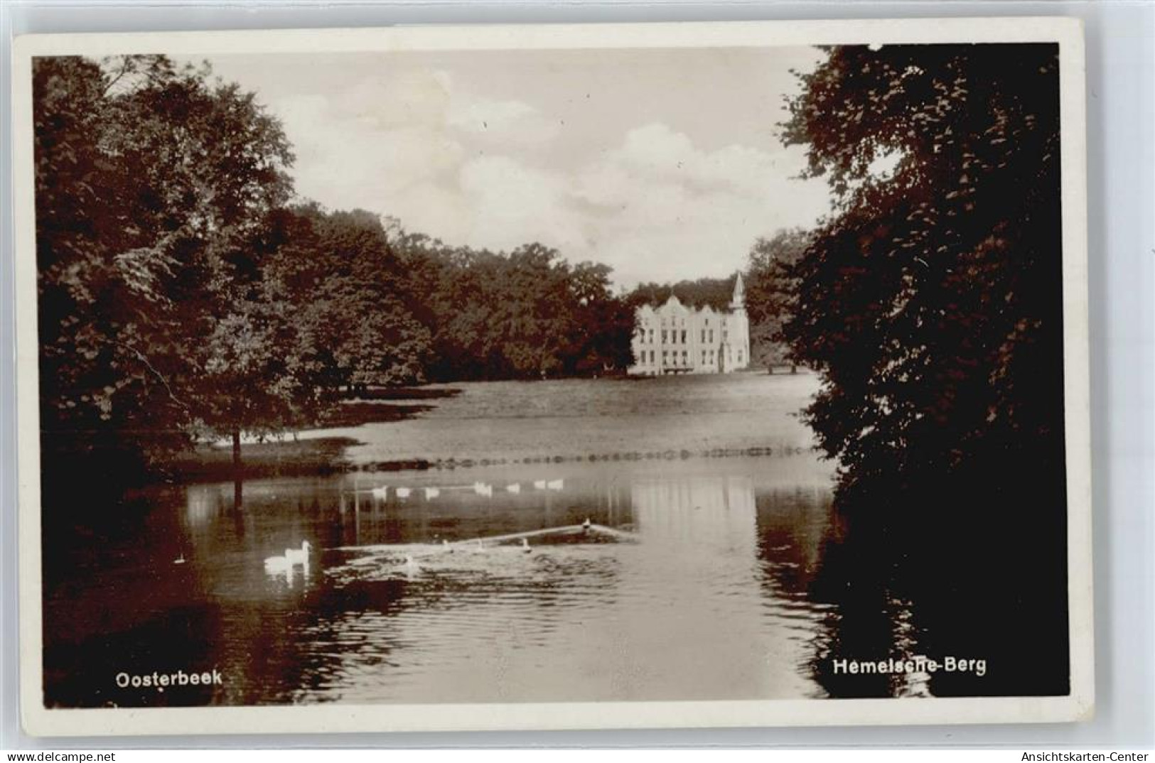 50527245 - Oosterbeek