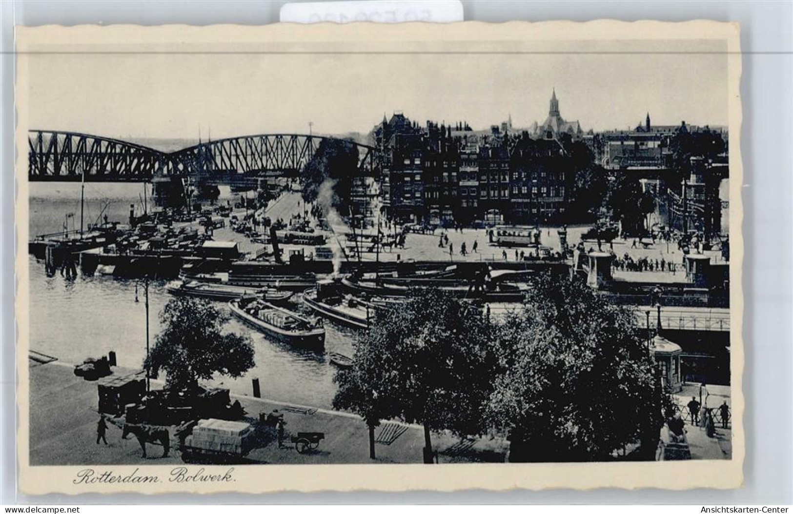 50529130 - Rotterdam