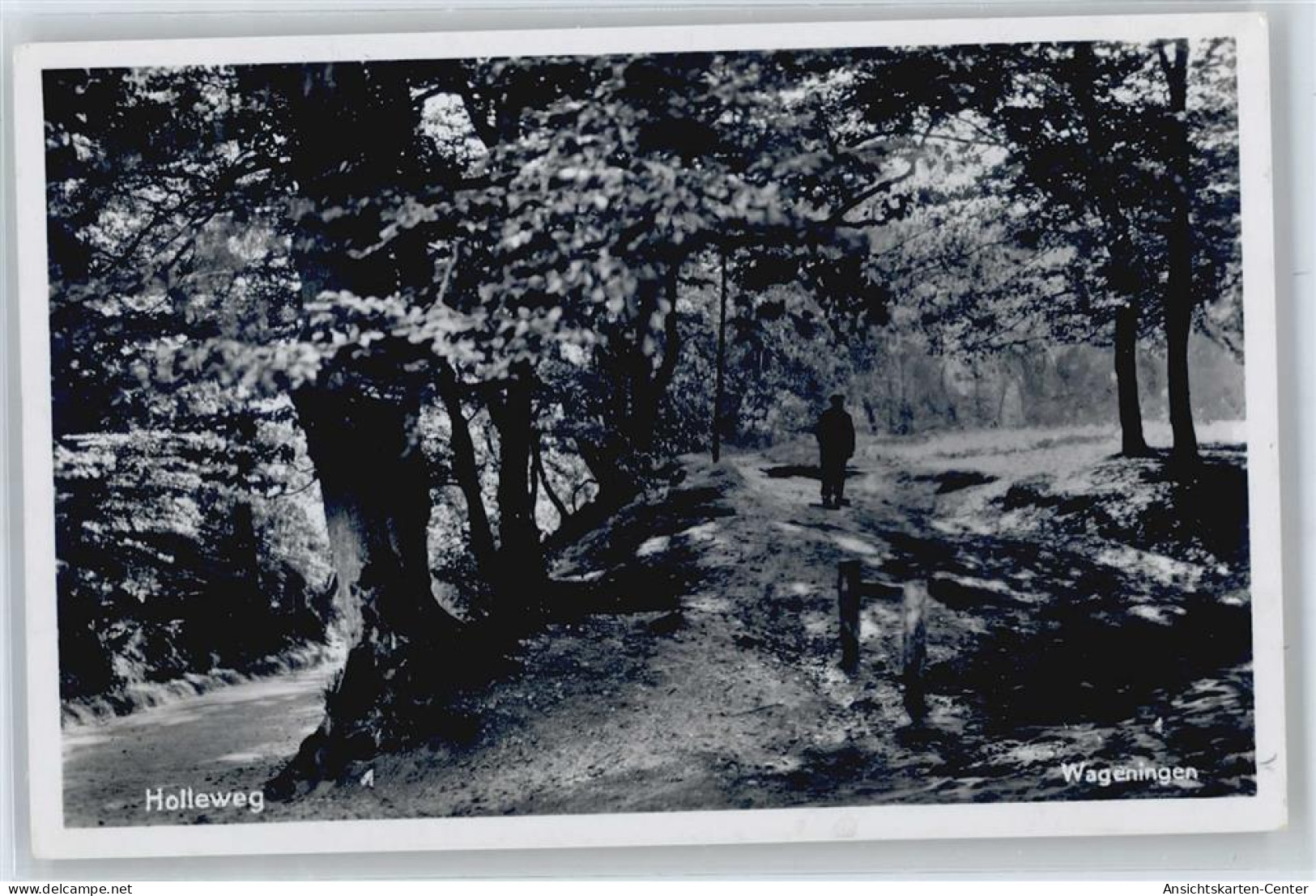 50529141 - Wageningen