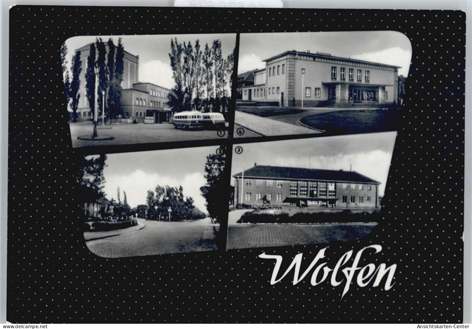 50530678 - Wolfen , Anh