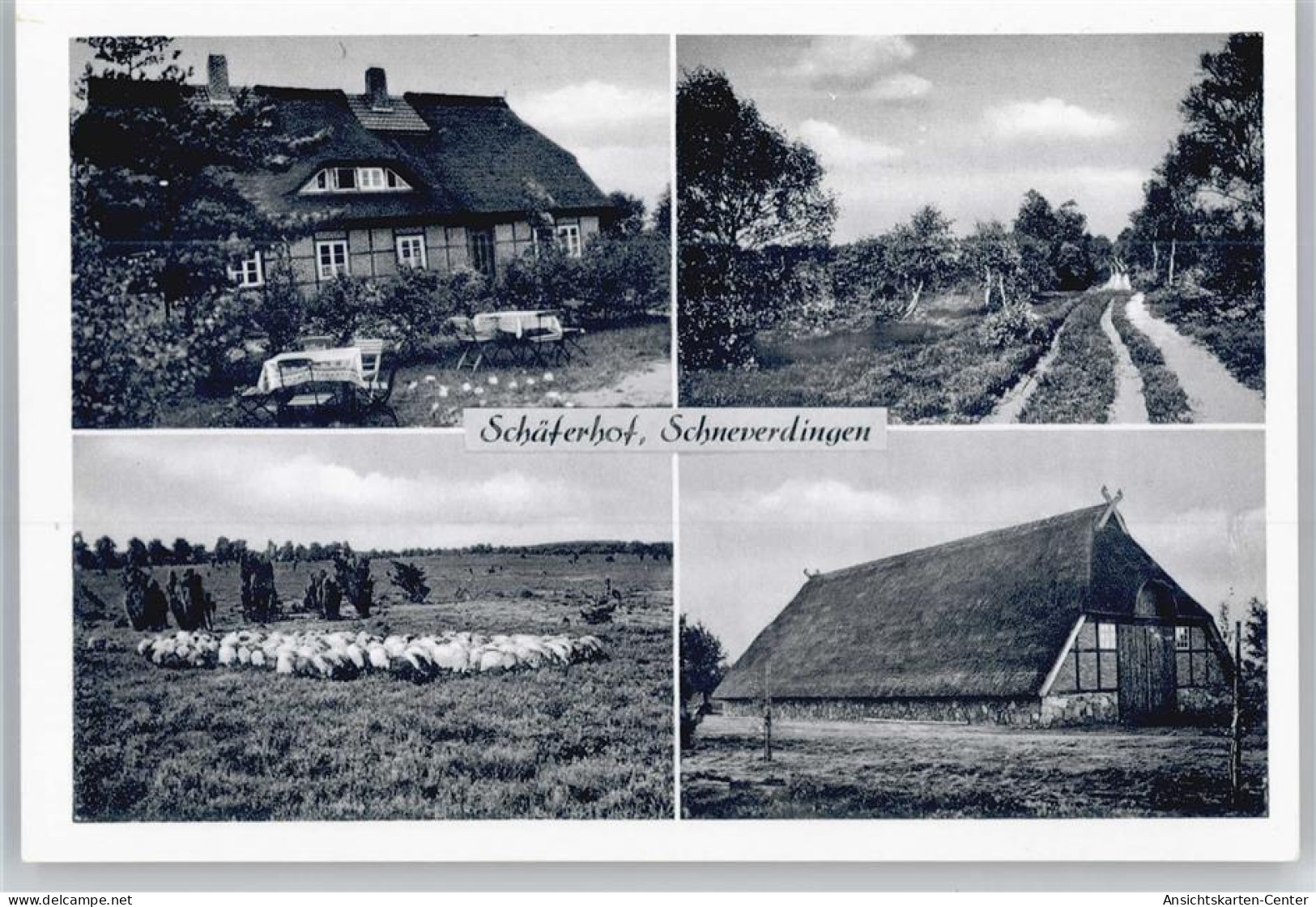 50530760 - Schneverdingen