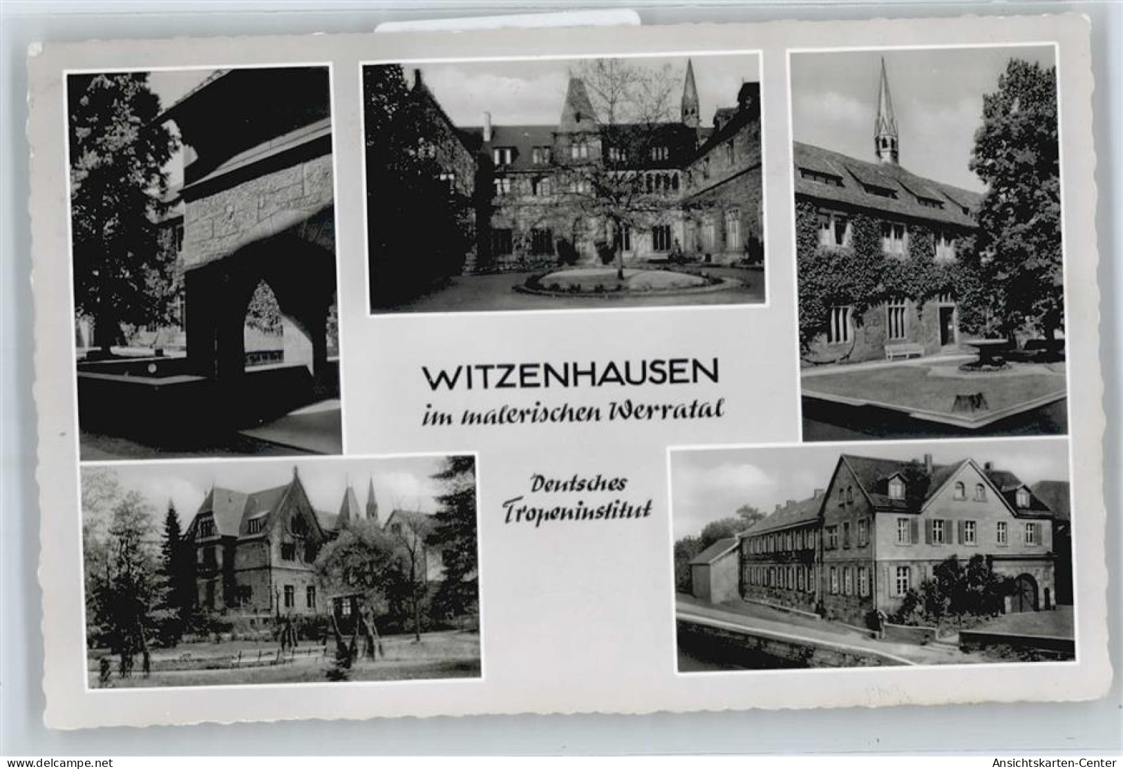 50530836 - Witzenhausen