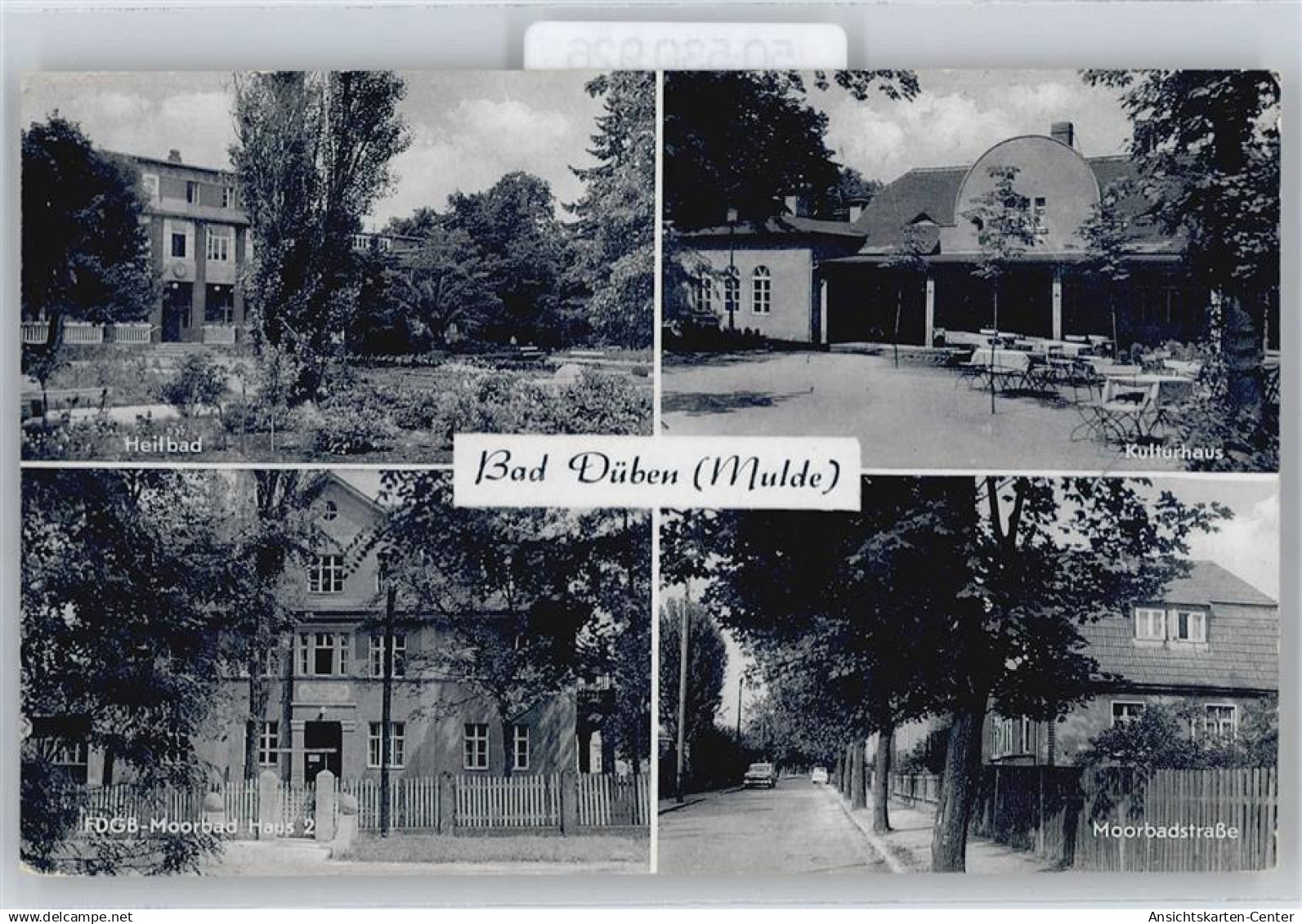 50530926 - Bad Dueben