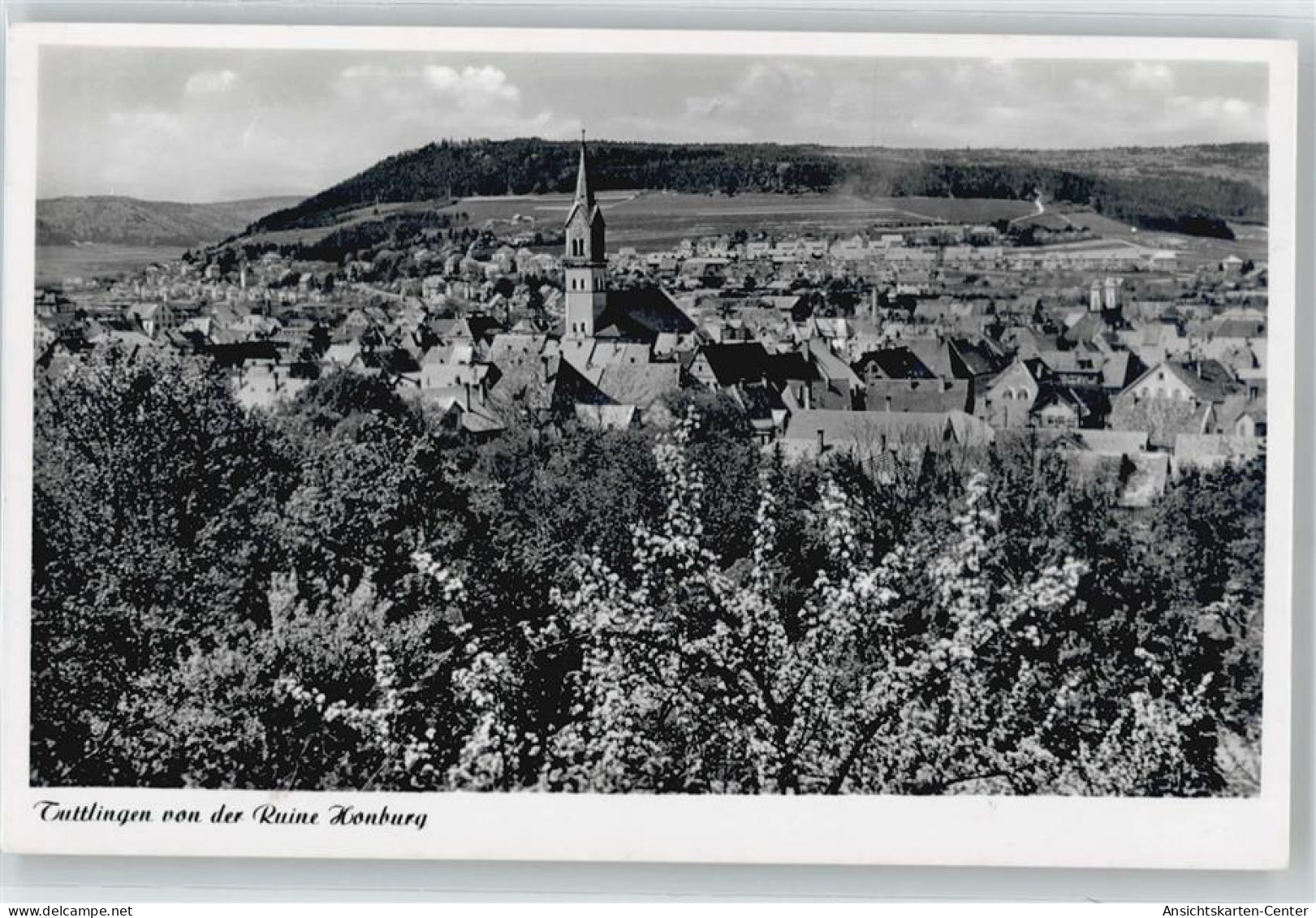 50531639 - Tuttlingen