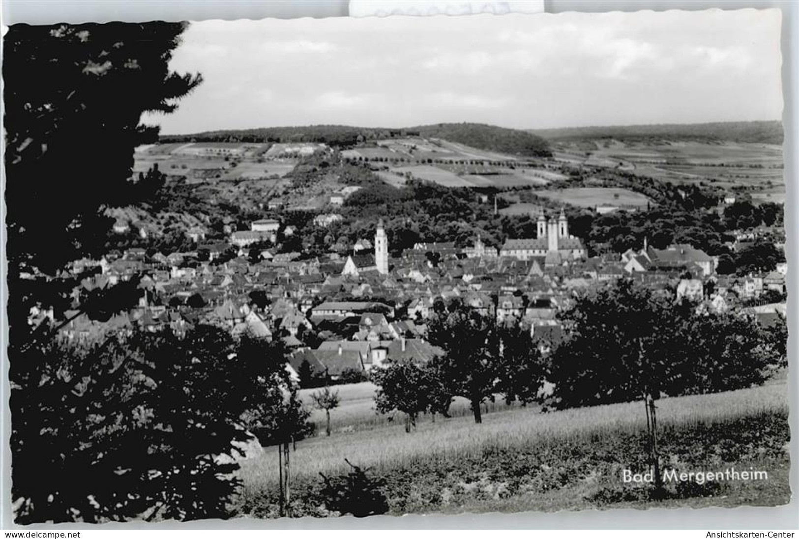 50532606 - Bad Mergentheim