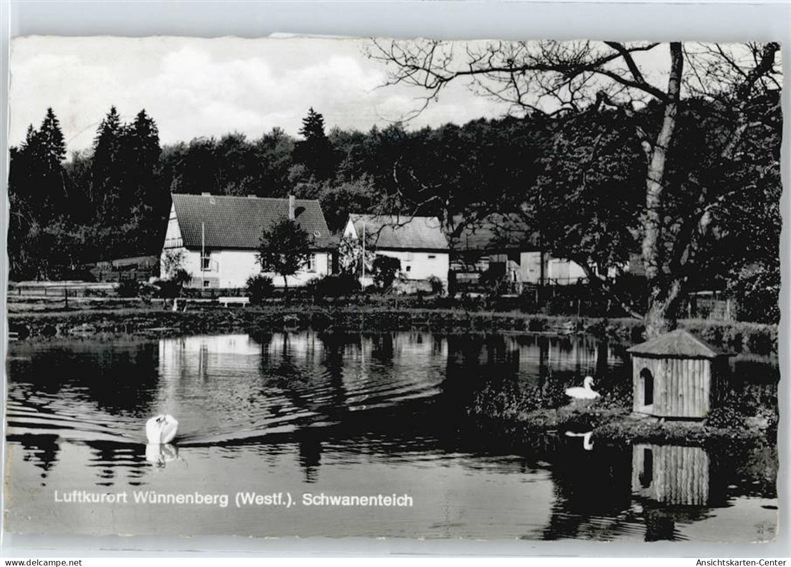 50532701 - Wuennenberg