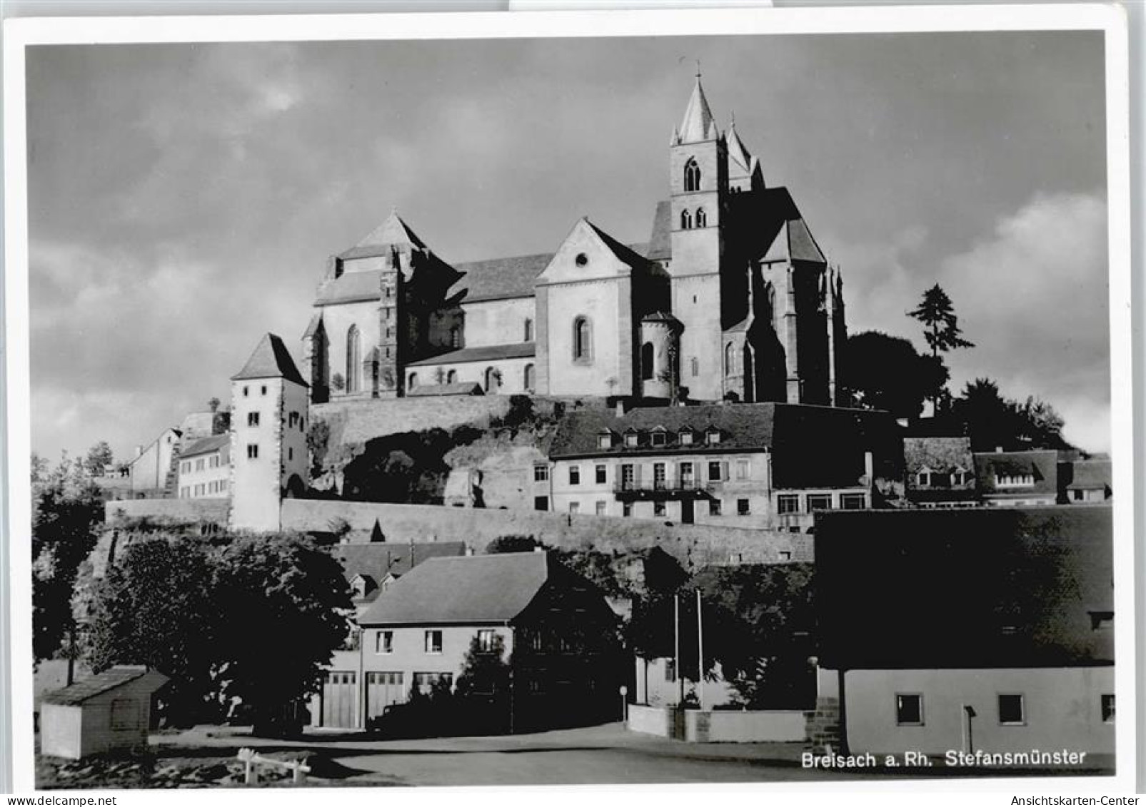 50532876 - Breisach am Rhein