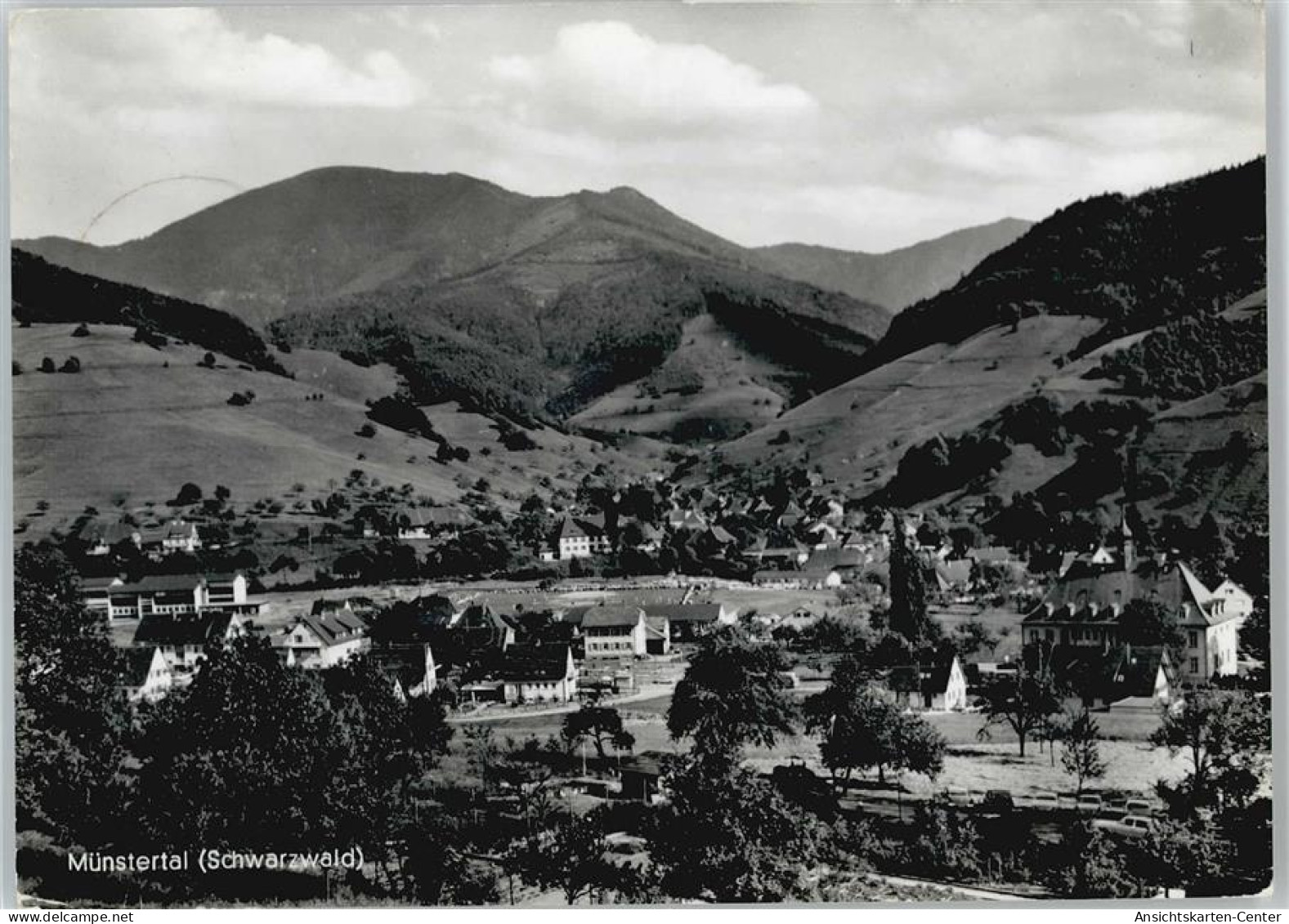 50532885 - Muenstertal , Schwarzwald