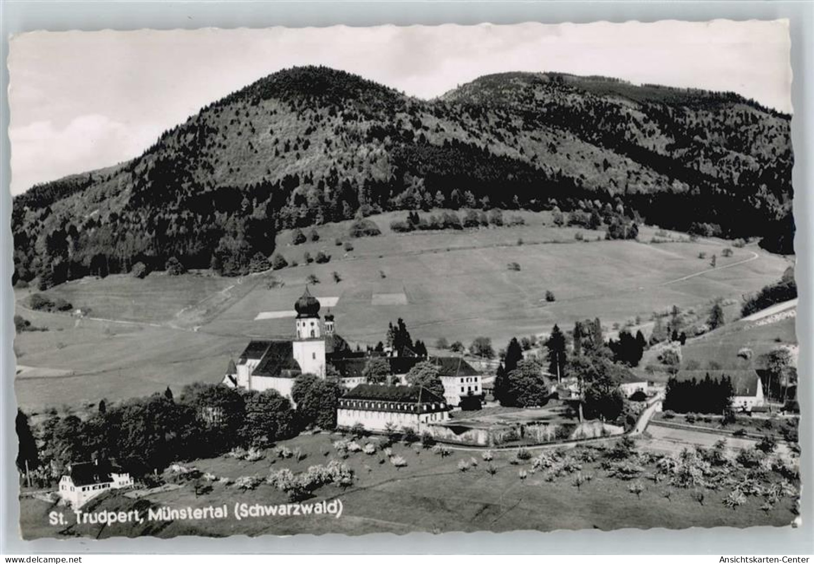 50533127 - Muenstertal , Schwarzwald