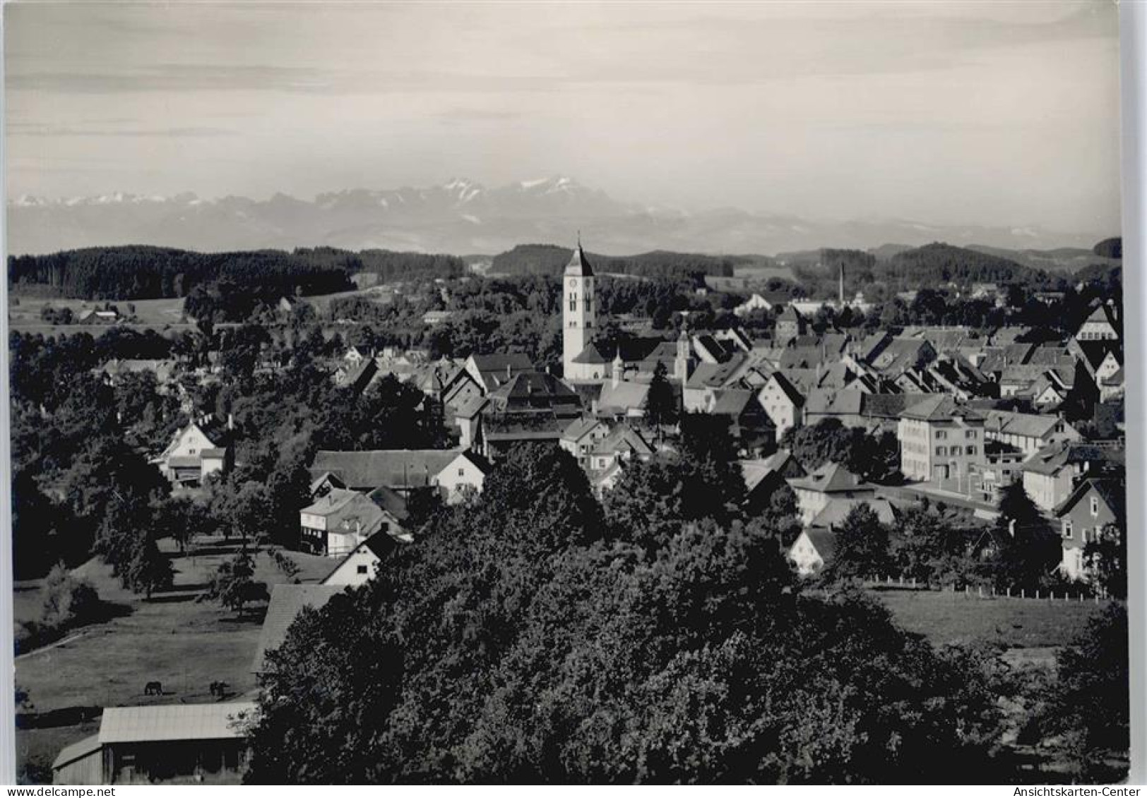 50533530 - Wangen im Allgaeu