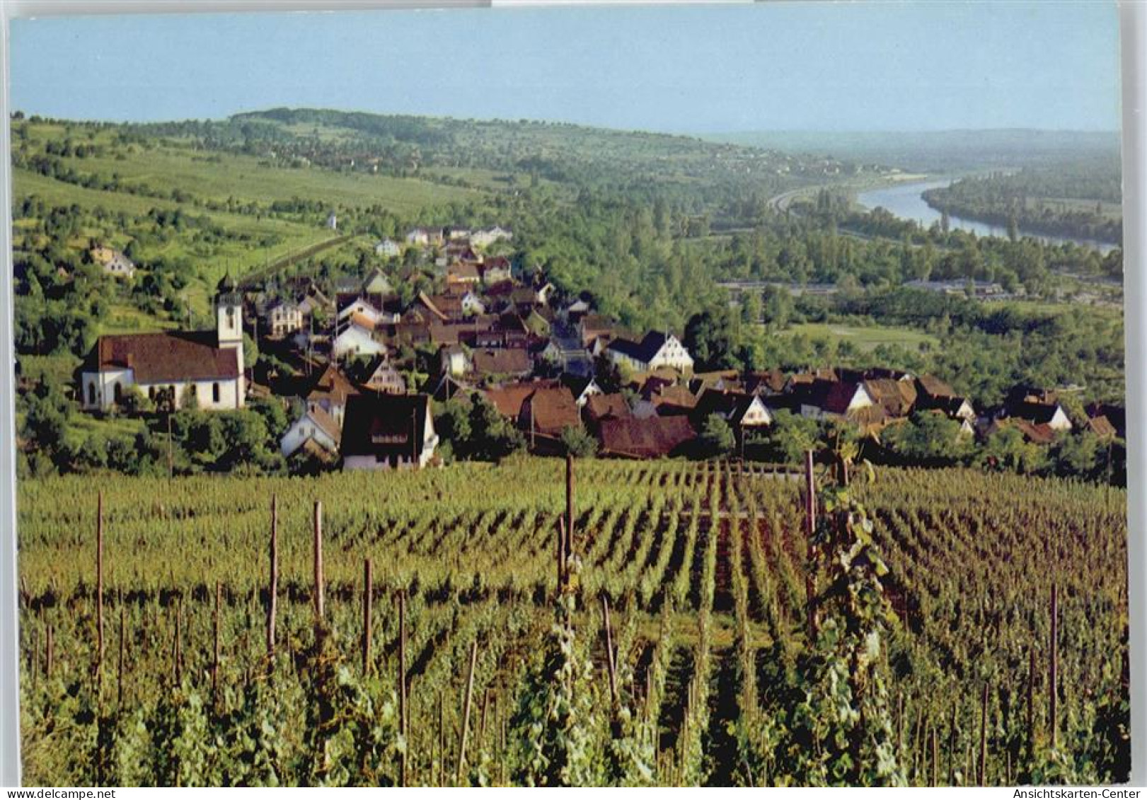 50533829 - Bad Bellingen , Baden